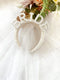 Bride Headband and Veil
