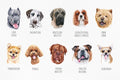iPhone Case - Custom Printed - Dog and Name